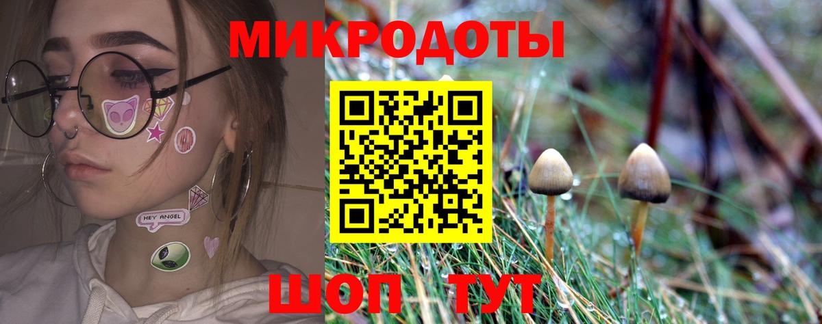 Псилоцибиновые грибы прущие грибы Протвино